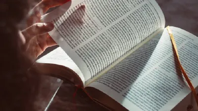 Sering Lupa Setelah Membaca Buku? Coba Terapkan 4 Tips Ini