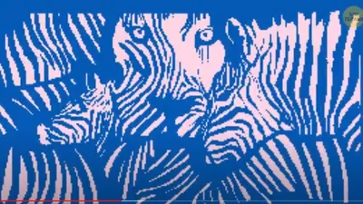 Tes Kepribadian: Gambar Zebra atau Singa yang Kamu Lihat Pertama Kali?
