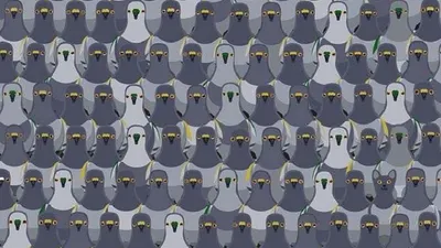 Saya Tantang Kamu Melalui Tes IQ Ini! Hanya 1% yang Berhasil Menemukan Kucing di Antara Burung Elang Tersebut Dalam Waktu 15 Detik Berhasil?