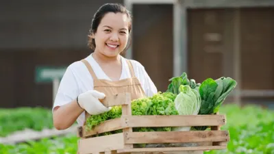 Berbagai ide usaha bidang perkebunan ini bahkan bisa dibilang hanya memerlukan modal sedikit namun bisa meraup keuntungan besar.