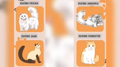 Tes kepribadian.