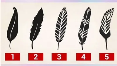 Tes Kepribadian: Pilih 1 Gambar Bulu untuk Tahu Seperti Apa Watak dan Karakter Aslimu!