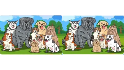 Tes IQ: Asah Observasimu! Coba Temukan 5 Perbedaan pada Gambar Kumpulan Anjing Lucu Ini, Yakin Berhasil?