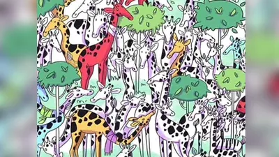 Tes IQ Ilusi Optik: Secepat Apa Kamu Bisa Temukan Zebra di Antara Gambar Jerapah Ini?