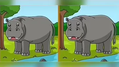 Tes IQ: Cari 3 Perbedaan di Gambar Badak Ini
