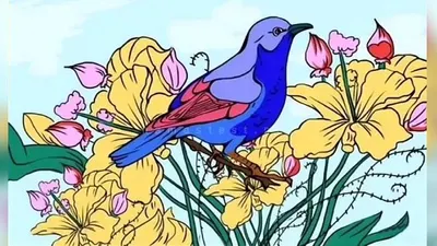 Tes IQ: Bisakah Kamu Temukan Harpa, Kawat Berduri, dan Bentuk Hati di Antara Gambar Burung? Cari dalam 10 Detik!