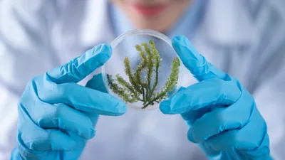 7 Rekomendasi Jurusan SNBP untuk Kamu yang Punya Nilai Biologi Tinggi