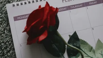Kepribadian orang yang lahir di tanggal 29 Februari
