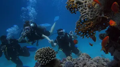 Rekomendasi 3 Destinasi Wisata di Kepulauan Seribu, Cocok Buat Kamu yang Hobi Snorkeling hingga Diving
