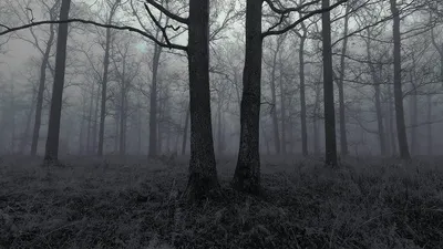 Ilustrasi kepribadian pecinta film horor