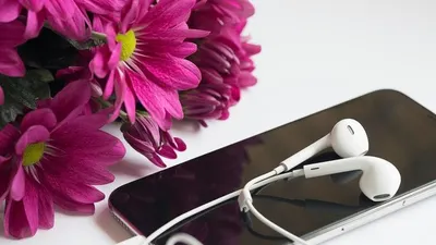 Ilustrasi. Earphone