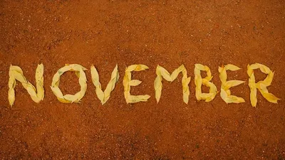 Kamu Lahir di Bulan November? Ini Dia Kepribadian Unik Kelahiran Bulan November