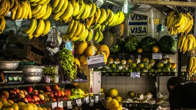 Badan Pusat Statistik (BPS) mencatat jumlah produksi buah-buahan di Kepulauan Seribu, ada lima jenis buah yang produksinya ribuan kuintal.