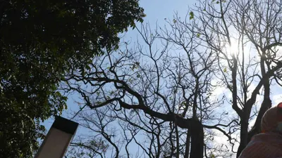 Fenomena Bediding, menurut Ida akan mengalami puncak pada musim kemarau atau rentang antara bulan Juli hingga September.