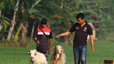 Memetik Makna di Balik Hari Raya Idul Adha yang Wajib Diketahui oleh Umat Islam, Menjadi Ajang Berbagi kepada Sesama