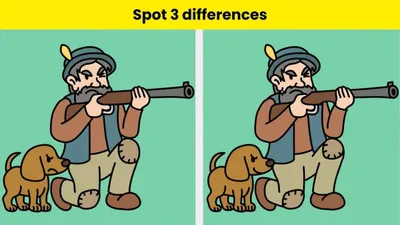 Tes IQ: Punya Mata Setajam Elang? Buktikan dengan Menemukan 3 Perbedaan di Gambar Pemburu dan Anjing Peliharaannya