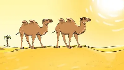 Tes IQ: Ada yang Salah dengan Gambar 2 Unta Ini Loh, Orang ber-IQ Tinggi Bisa Temukan dalam 4 Detik Saja!