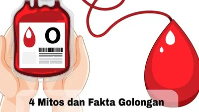 4 mitos dan fakta golongan darah O