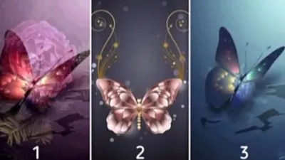 Tes Kepribadian: Pilih 1 Gambar Kupu-kupu yang Paling Cantik, Jawabanmu Ungkap Karakter Aslimu!
