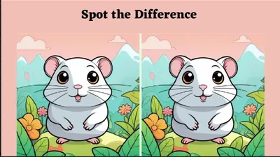 Tes ketelitian: Temukan 3 perbedaan pada gambar hamster dalam waktu 6 detik!