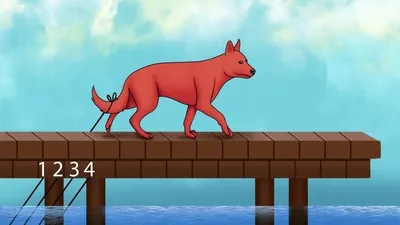 Dijelaskan situasi dalam gambar telihat anjing peliharaan yang sedang melintasi jembatan dengan tali yang mengikat ekornya.