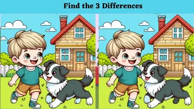 Tes IQ: Ada 3 Perbedaan pada Gambar Anak Laki-laki Bersama Anjing Peliharaannya, Coba Temukan dalam Waktu 12 Detik!