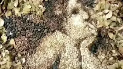 Tes Psikologi: Gambar yang Pertama Kali Kamu Lihat pada Ilusi Optik Ini Mengungkap Nasib Kehidupanmu di Masa Kini dan Masa Depan