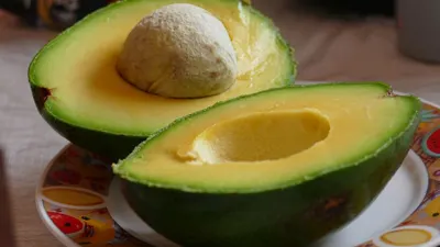 Buah Alpokat