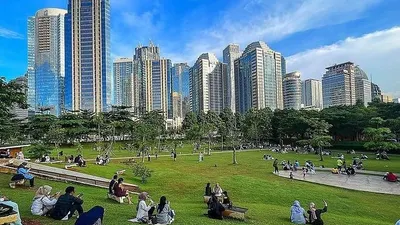 Taman Hutan Kota GBK.