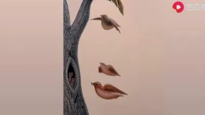 Tes Kepribadian: Kamu Lihat Pohon, Burung, atau Wajah Wanita? Jawabanmu Menguak Rahasia Asmara dengan Pasangan