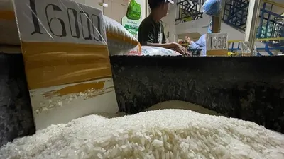 Harga Beras Melonjak Jelang Pemilu Buat Warga Menjerit, Apa Penyebab Kenaikan Sebenarnya?