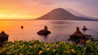 Maluku Utara | Lantas Provinsi mana sajakah yang termasuk ke dalam kategori provinsi dengan warganya yang paling bahagia di Indonesia?