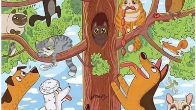 Tes Ilusi optik.