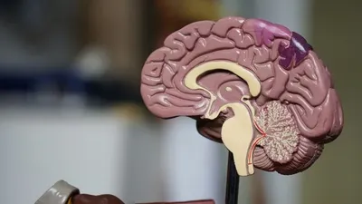 4 Kepribadian Menarik dari Orang yang Dominan Menggunakan Otak Kanan