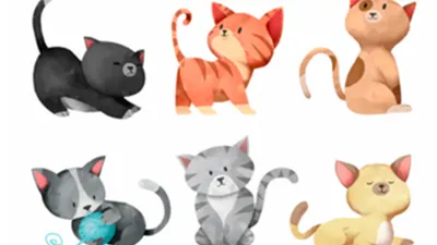 Pilih Salah Satu dari Gambar 6 Kucing Ini, Ketahui Kepribadian Introvert, Setia atau Kreatif! 