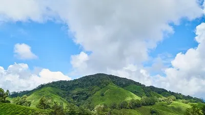 7 Kota Terdingin yang Ada di Indonesia, Apakah Daerahmu Termasuk?