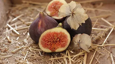 Buah ara atau buah tin 