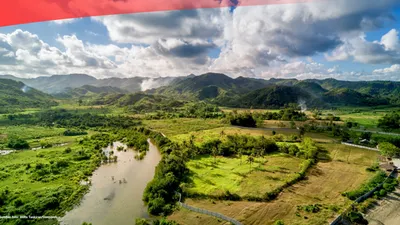 8 Kota Paling Berkelanjutan di Indonesia versi UI Green City Metric 2023, Ternyata Didominasi Jawa Timur!