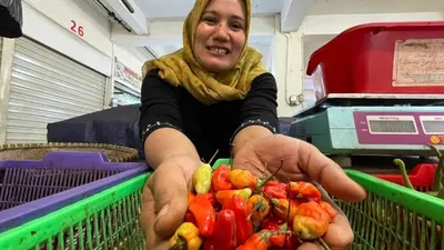 Ternyata Ini Alasan Harga Cabai Rawit Melonjak