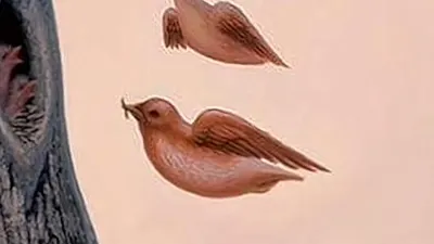 Illustrasi Tes Kepribadian