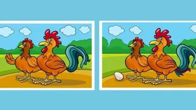 Tes Penglihatan: Temukan 5 Perbedaan Pada Sepasang Ayam Ini, Asah Ketelitian Kamu! (Jagran Josh)