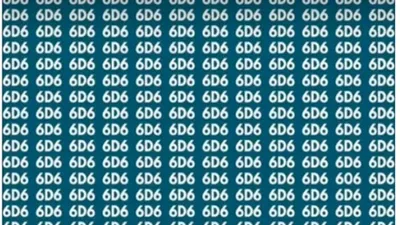 Ada angka 606 di antara banyak 6D6 dalam gambar tes ilusi optik kali ini. Bisakah kamu menemukannya dalam waktu 5 detik?