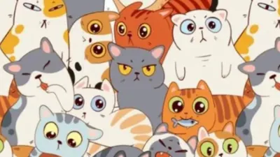 Tes Ilusi Optik: Temukan Sosis di Antara Tumpukan Kucing