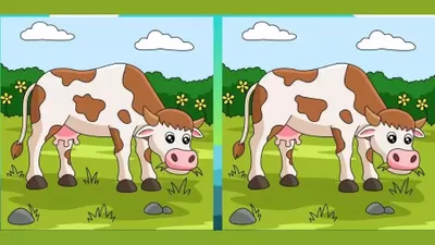 Teka-teki menemukan perbedaan adalah cara terbaik untuk mempertajam daya ingat visual dan asah otak Anda. Silakan dicoba ya.