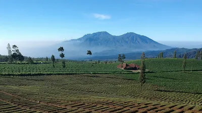 Tak Perlu ke Luar Negeri! Berikut 7 Kota di Indonesia dengan Suhu Terdingin yang Bisa Kamu Kunjungi