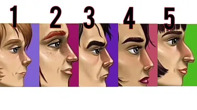 Salah satu bagian tubuh yang bisa menunjukkan kepribadian dan karakter seseorang adalah bagian hidung. Ya, bentuk hidung bisa mengungkapnya.