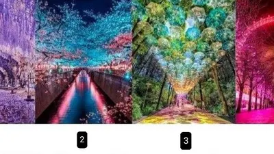 Bongkar Karakter yang Kamu Miliki Berdasarkan Tempat dan Suasana yang Kamu Pilih, Kamu yang Mana?