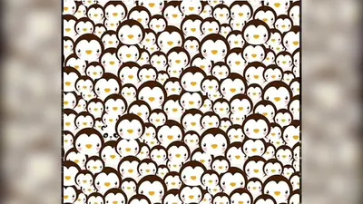 Di antara kumpulan pinguin tersebut ada seekor panda. Tugas kamu adalah menemukan keberadaan panda tersebut.