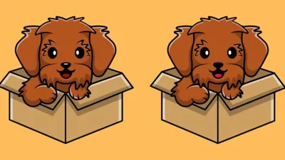 Tes IQ: Suka Bermain Teka-teki? Coba Temukan 3 Perbedaan pada Gambar Anjing Lucu dalam Kardus Ini, Buktikan Ketajaman Matamu