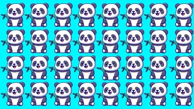 Tes Penglihatan: Tunjukkan Kemampuan Observasimu dengan Temukan Panda Paling&nbsp;Berbeda!
